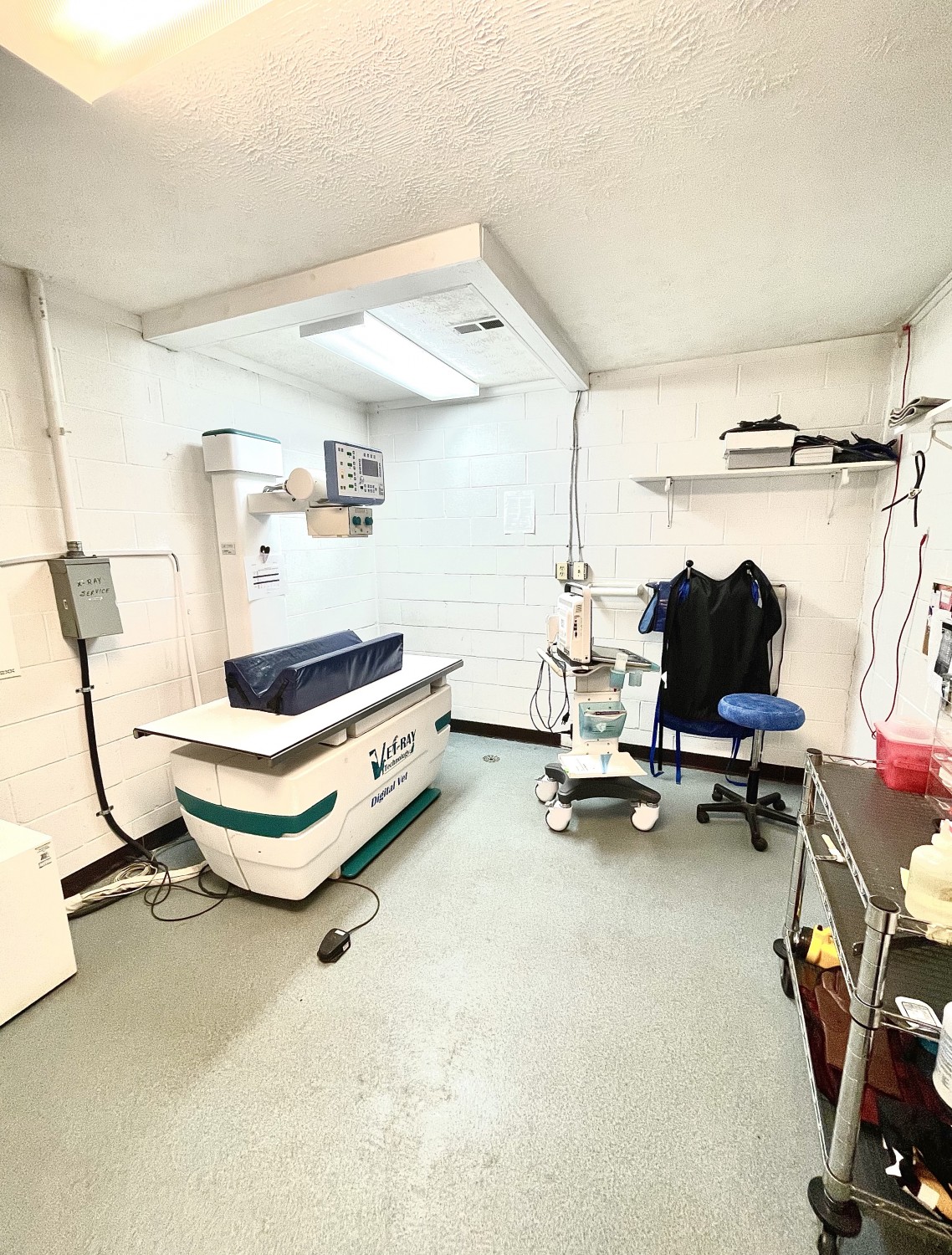 Radiology